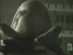 snooping on a sexy duo on the beach late at night